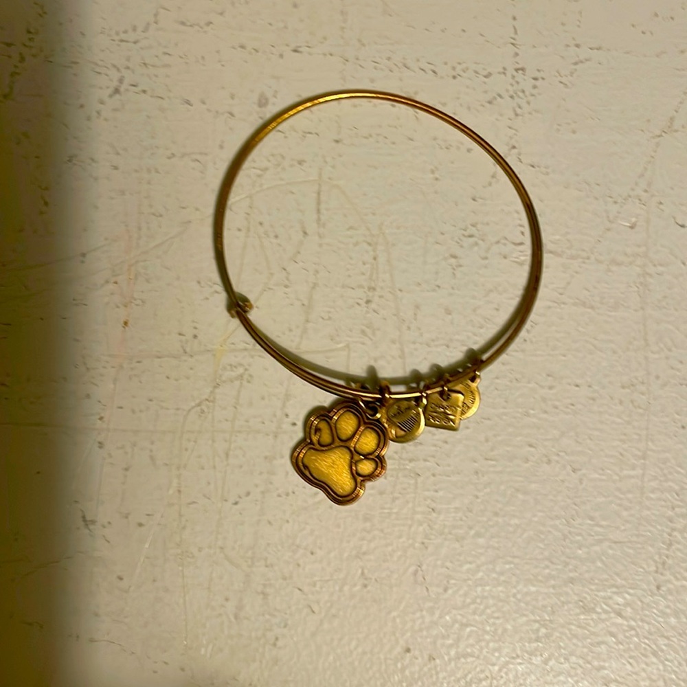 Alex and Ani Paw Print Animal Pet Gold Charm Bracelet adjustable Bangle boho